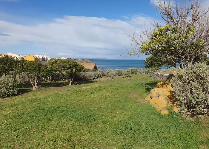 Avant Port * アグド